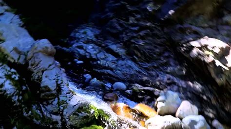 Sawmill Creek Falls The Trail In Youtube
