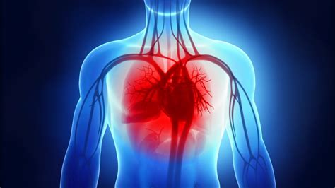 Cardiovascular Disease In General Practice Belmatt Healthcare Training