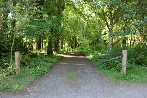 Woodland Trail Culzean Castle And Country © Billy Mccrorie