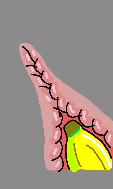 Rule 34 Ambiguous Gender Anal Anal Masturbation Anal Sex Animated Banana Food Fruit Internal