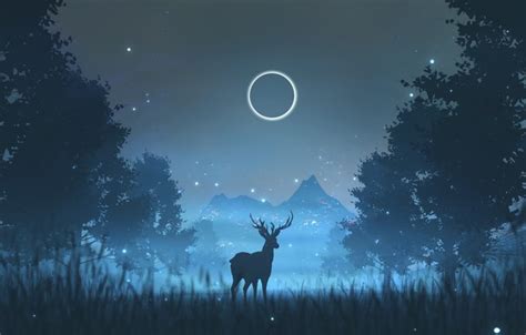 Wallpaper Night Trees The Moon Forest Silhouette Deer Fantasy Night Illustration Animal