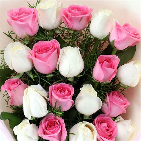 Online Elegant Roses Bunch T Delivery In Philippines Ferns N Petals