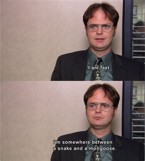 Dwight Office Quotes Funny The Office Show Office Humor