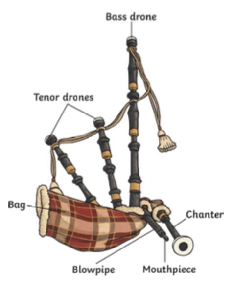 Bagpipes And Bodhrans Traditional Scottish Instruments