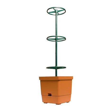 Hydrofarm Self Watering Tomato Tree Planter With 3 Sturdy Frame Tower