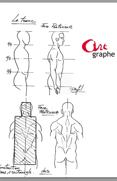 apprendre dessiner le corps humain pdf
