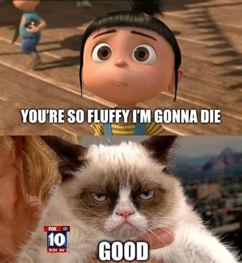 Grumpy Cat Meme Smiles Are Contagious Russell Whitaker