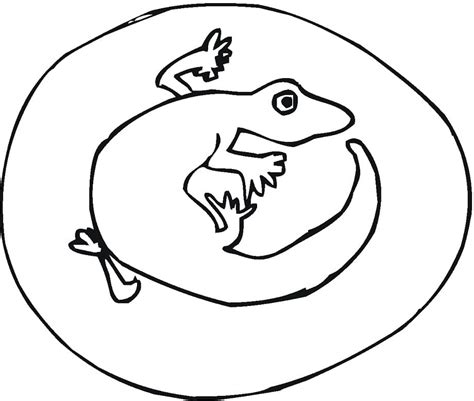 Salamander Printable Coloring Pages Coloring Cool