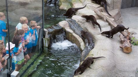 Tennessee Aquarium Sharing Horizons
