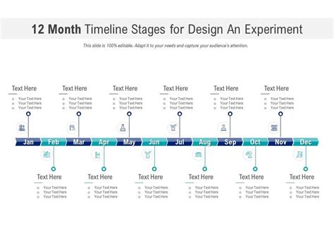 12 Month Timeline Stages For Design An Experiment Infographic Template