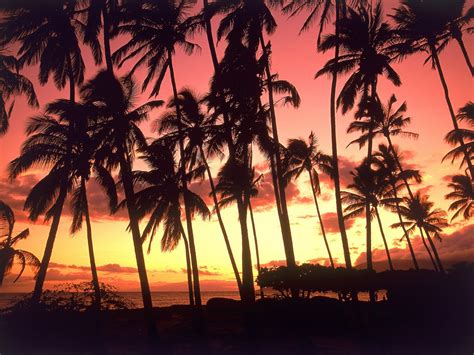 Hawaii Sunset Wallpapers Top Free Hawaii Sunset Backgrounds