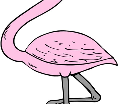 Flamingo Clipart Tropical Flamingo Flamingos Cliparts Png Download