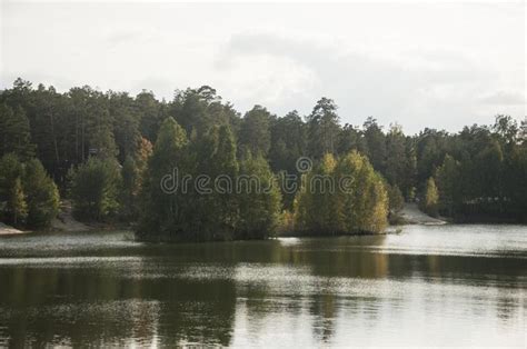 Blue Water In A Forest Lake With Pine Trees Stock Photo Image Of