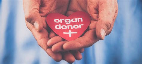 revolutionary organ donation facts factretriever