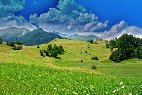 Grüne Wiese Im Engadin Foto And Bild Archiv A R C H I V Aktuell