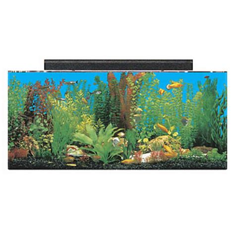 The Best 30 Gallon Fish Tanks And Aquariums For The Money 2022