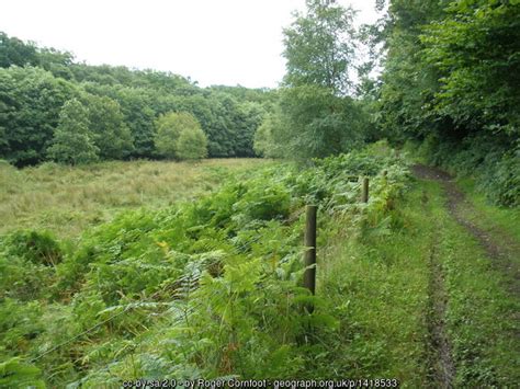 Clearing Parke Wood © Roger Cornfoot Geograph Britain And Ireland