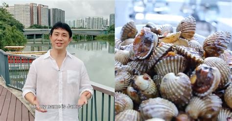 The maiden speech of wp's jamus lim led to a fiery debate on minimum wage. Jamus Lim banned from saying specific 'C' word in Sengkang ...