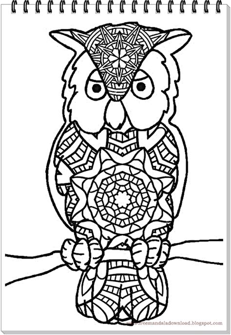 Woher diese beiden bedeutungen kommen, erfahren sie in diesem artikel. Eulen-Mandala-Owls mandala-Hochwertige Mandala Bilder ...