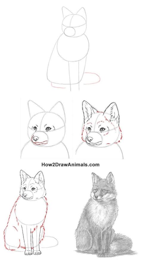 How To Draw A Fox Sitting Animal Drawings Drawings Realistic Drawings