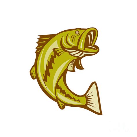 Largemouth Bass Cartoon Affordable And Search From Millions Of