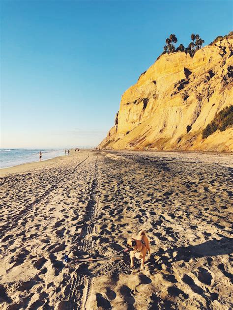 Blacks Beach In San Diego California Cest Christine