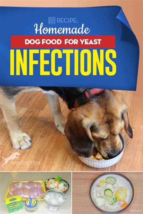 Homemade Dog Food For Yeast Infections Recipe