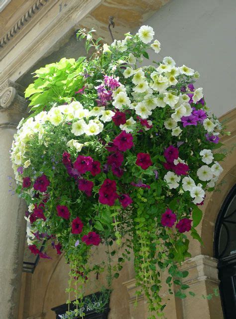 Best Flowers For Hanging Baskets Beautiful Flower Arrangements And Flower Gardens