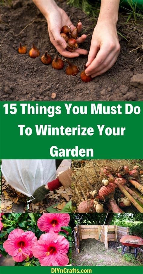 15 Must Do Things To Get Your Garden Winter Ready Really Good Ideas