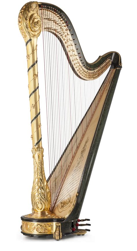 Iris Gold Arpa Premium Salvi Harps