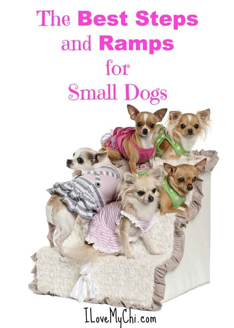 It is a versatile ramp for both indoor. The Best Steps and Ramps for Small Dogs | I Love My Chi