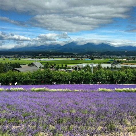 Furano Hokkaido Furano Places To Visit Visiting