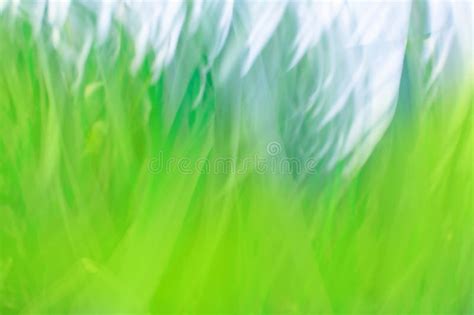 Green And Blue Abstract Defocused Background Sunny Green Nature