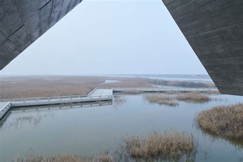 Topic Wetland Research And Education Center Dongtan Chongming