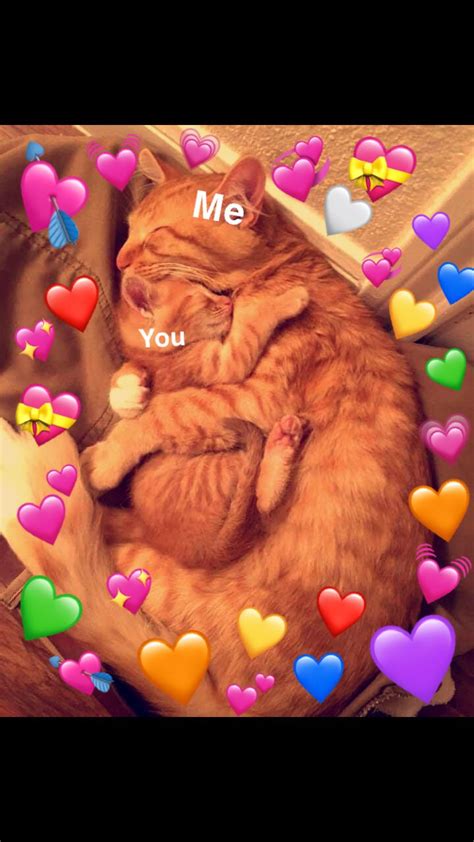 Pin By Artistocatt On Heart ♥️ Cute Cat Memes Cute Love Memes