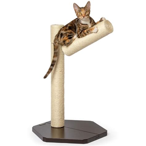 Best Cat Scratching Posts And Pads Top 13 Reviews And Ratings In 2021