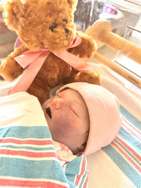 Evie Mae Shipp Obituary - Springfield, IL