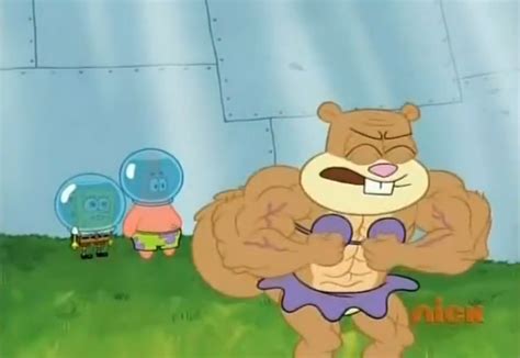 She is a squirrel from the surface. Pin on Spongebobs Squarepands & Friends