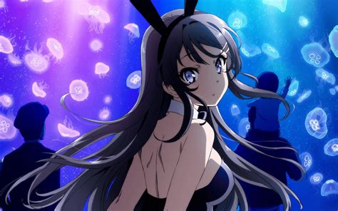 Free Download Rascal Does Not Dream Of Bunny Girl Senpai Hd Wallpaper