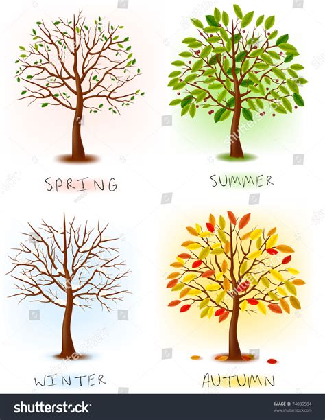 Four Seasons Spring Summer Autumn Winter Stock Vector 74039584