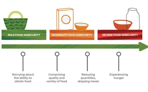 Introduction To Food Insecurity In Liverpool Definitions Impact
