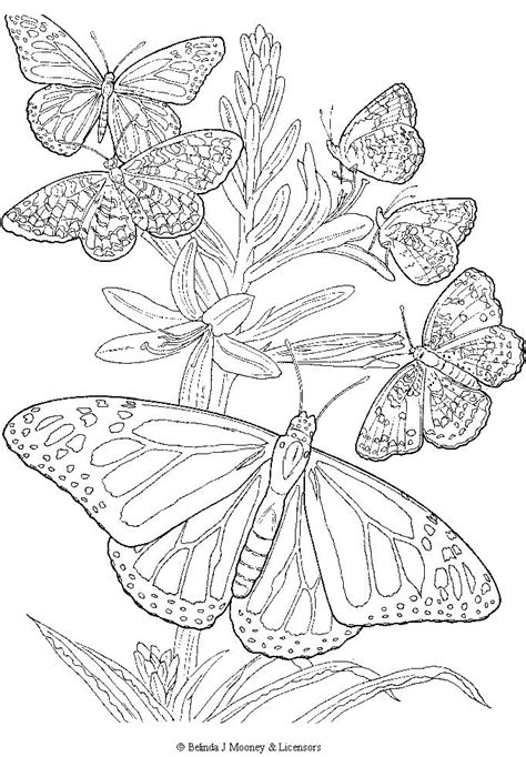 Encourage your child's imagination skills with these beautiful butterfly coloring pages printable, which depict them in various shapes and sizes. Monarch Butterfly Coloring Pages at GetColorings.com ...
