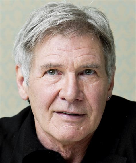 Harrison Ford Short Straight Casual Hairstyle