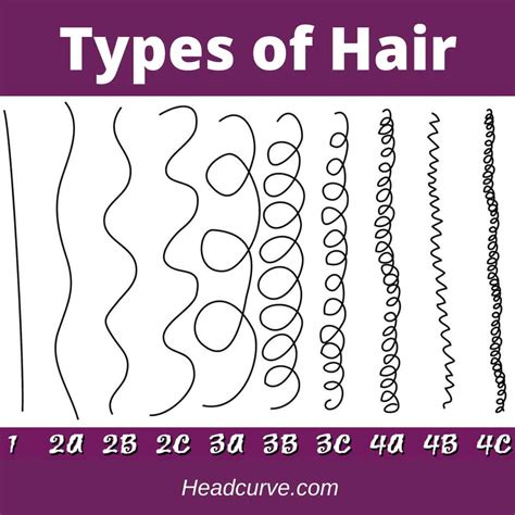 Top 162 Hair Style Chart For Women Polarrunningexpeditions