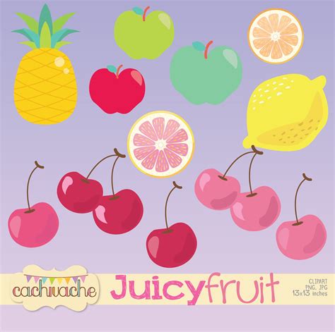 Fruit Clipart Tutti Frutti Clipart Pink Lemonade Clipart Etsy