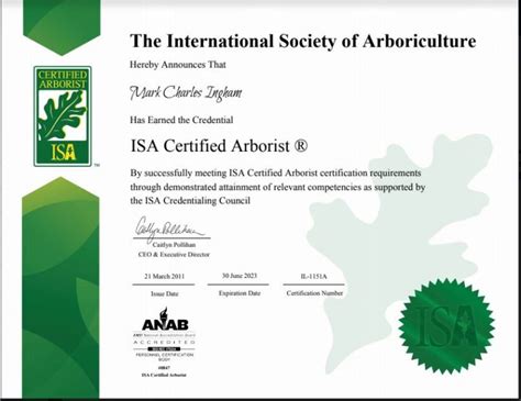 Certified Arborist Marks Tree Care