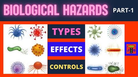 Workplace Biological Hazards Types And Categories Of Biohazards