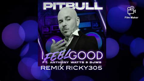 Pitbull Feat Anthony Watts Djws I Feel Good Remix Version Elettro House By Ricky