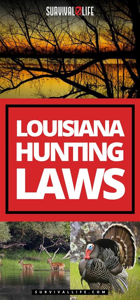 Louisiana Hunting Laws American Gun Association