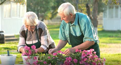 Incredible Benefits Of Gardening For Seniors 21st Century Home Health